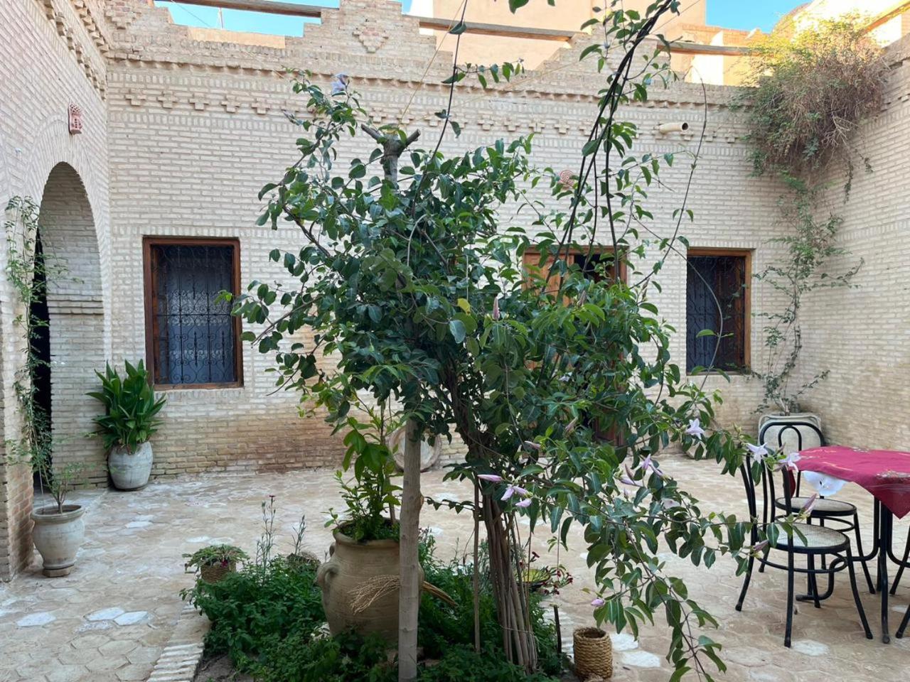 Maison De Vacances "Dar Khalifa" トズル エクステリア 写真